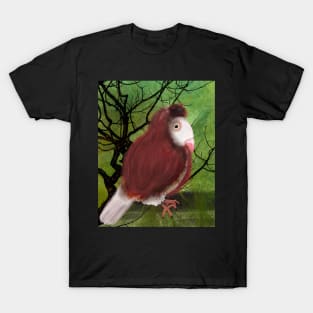 Capuchin Pigeon T-Shirt